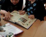 img (4)